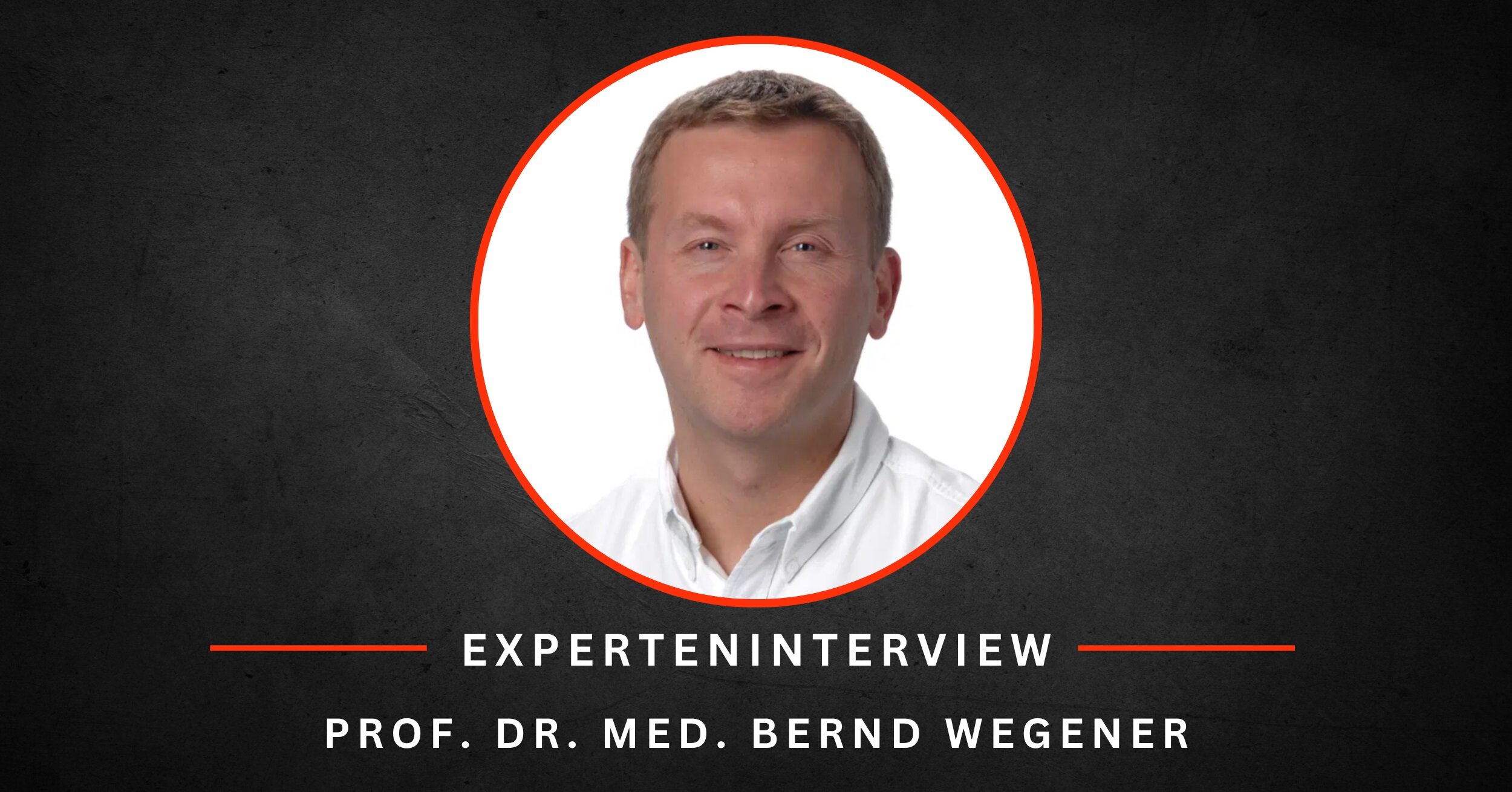 experteninterview wegener experteninterview wegener